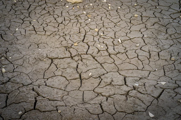 Une Texture Sol Fissuré Séché Idéal Pour Papier Peint — Photo