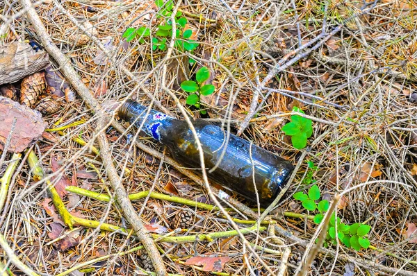 Primer Plano Una Botella Cerveza Llena Una Cantidad Campo Palitos —  Fotos de Stock