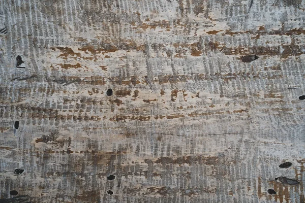 Een Oude Grunge Houten Plank Textuur — Stockfoto