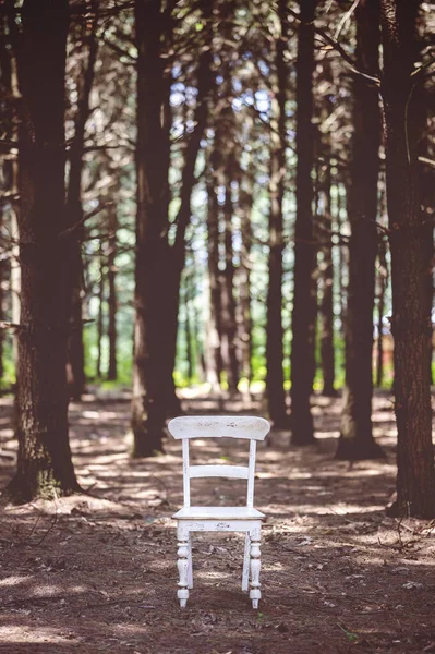 黎明时分在森林里一张白色的旧木椅的垂直照片 — 图库照片