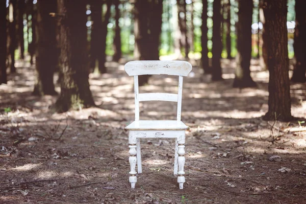 Närbild Gammal Vit Trästol Skog Dagsljus — Stockfoto