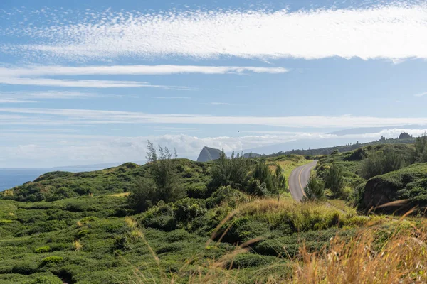 Een Prachtige Opname Van Het Waianapanapa Staatspark Het Eiland Maui — Stockfoto