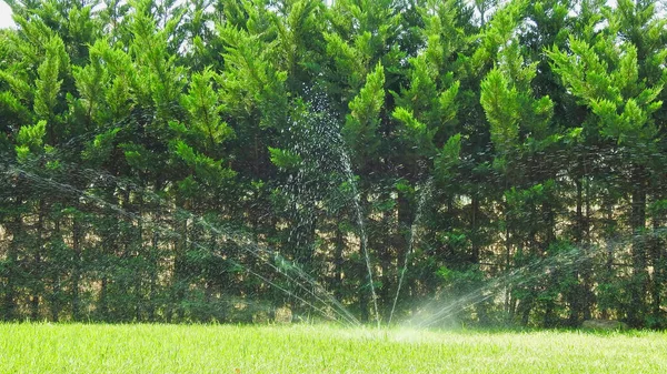 Eine Automatische Sprinkleranlage Zur Rasenbewässerung — Stockfoto