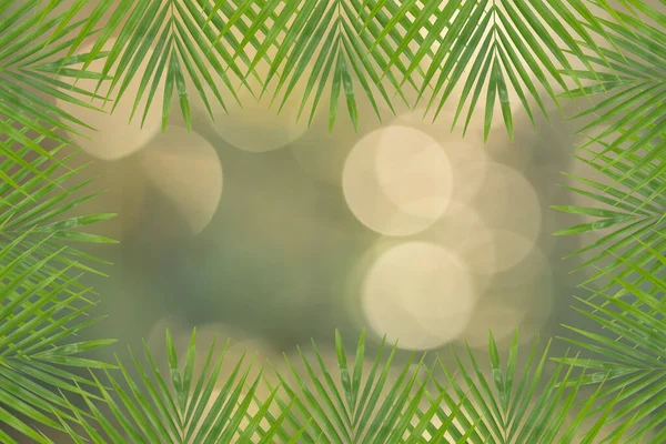 Frame Palm Leaves Bokeh Circles Backround — Stock Photo, Image