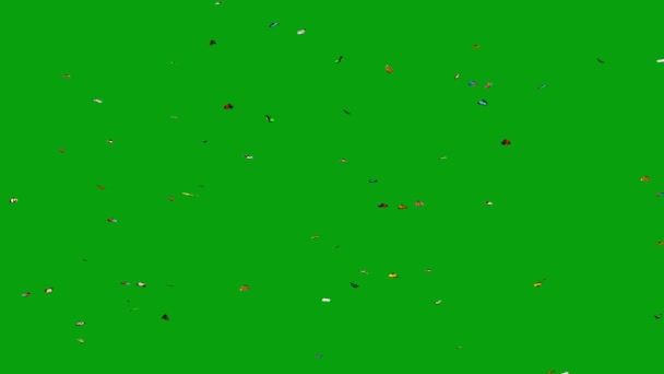 绿色背景的彩色鱼类片段 — 图库视频影像