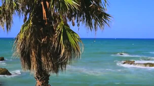 Bella Vista Sul Mare — Video Stock