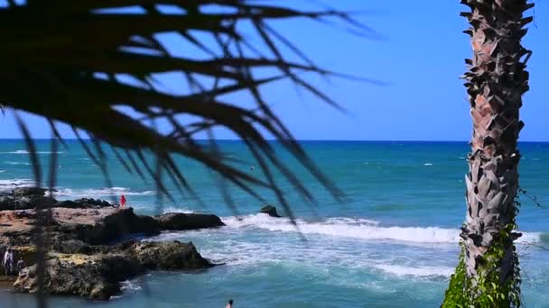 Gyönyörű Felvétel Trópusi Strandról — Stock videók