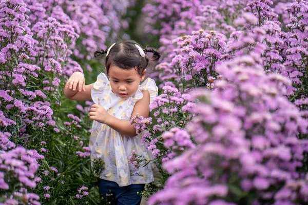 Cute Little Thai Girl Field Beautiful Purple Flowers — Stock Photo, Image