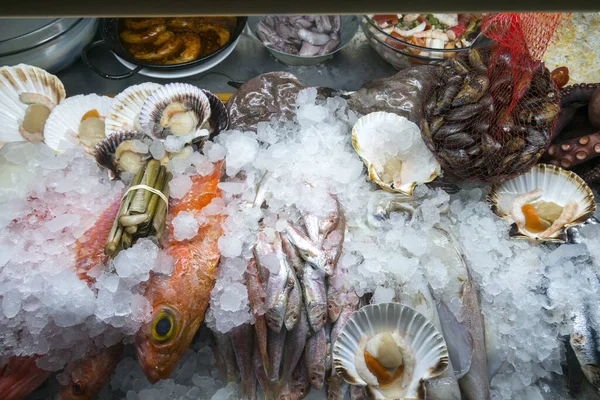 Hög Vinkel Skott Visning Fisk Och Skaldjur Malaga Andalusien Spanien — Stockfoto