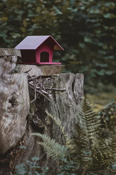 Una Pajarera Una Rebanada Madera Bosque — Foto de Stock