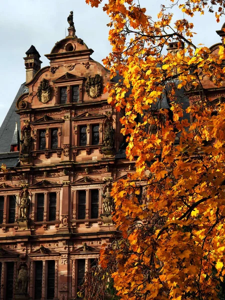 Edificio Medieval Con Árbol Contra Bajo Cielo — Foto de Stock