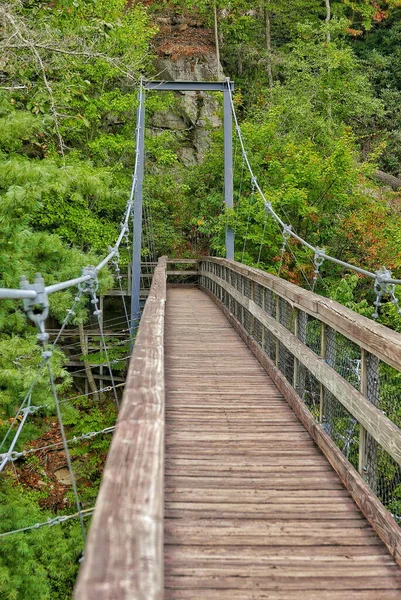 Krásný Výhled Dřevěný Most Vlákny Lese Slunečného Dne — Stock fotografie