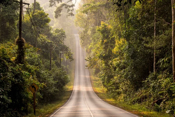 Thailands Nationalpark Khao Yai — Stockfoto