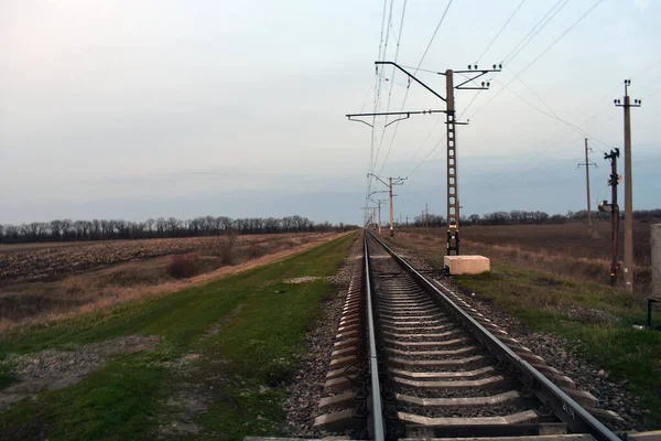 夜明けに草や森に囲まれた列車の鉄道の景色 — ストック写真
