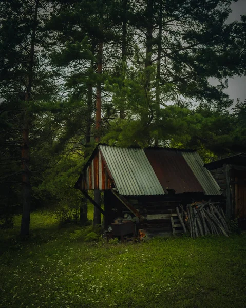 Eine Vertikale Aufnahme Des Kleinen Dorfhauses Mitten Wald — Stockfoto