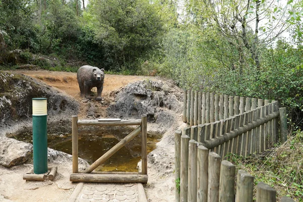 Вид Штучного Ведмедя Металу Розміщеного Біля Брудної Води Парку — стокове фото