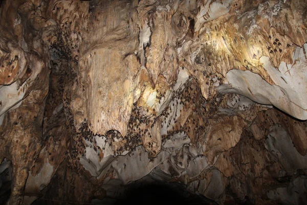 Uma Caverna Morcegos Tailândia — Fotografia de Stock