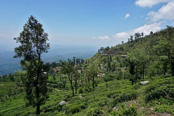 斯里兰卡乌云密布的努瓦拉埃利亚茶园自然景观 — 图库照片