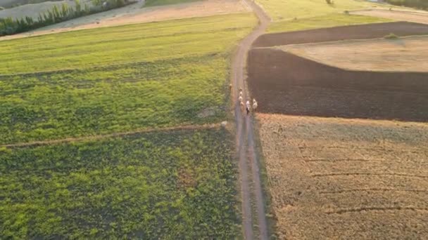 Πλάνα Από Αγροτικό Τοπίο — Αρχείο Βίντεο