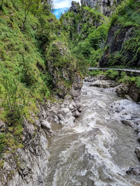 Cascada Que Baja Las Montañas Rocosas Con Árboles —  Fotos de Stock