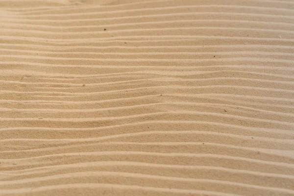 Sahildeki Dokulu Sarı Kum — Stok fotoğraf