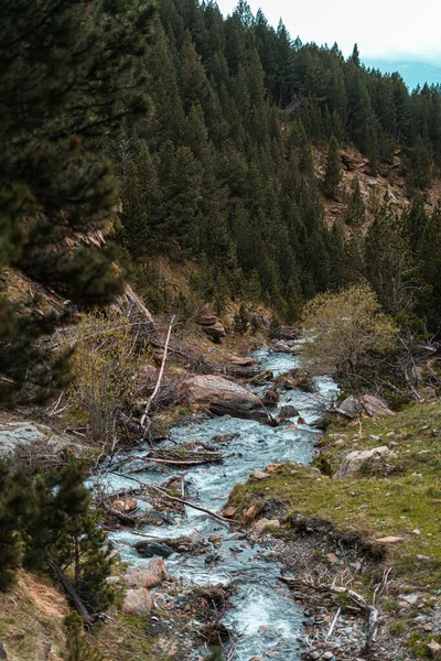 Tiro Ângulo Alto Uma Paisagem Montanhosa Com Árvores Verdes Rio — Fotografia de Stock