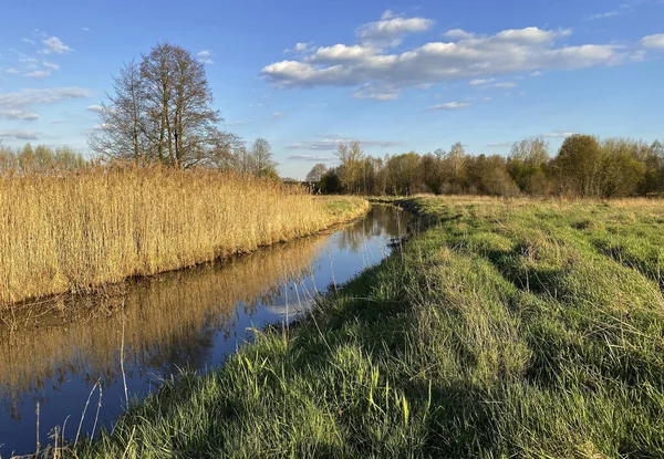 Krásný Výhled Travnaté Pole Rybníkem Pod Zataženou Oblohou — Stock fotografie