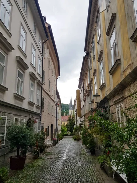 Eine Vertikale Aufnahme Einer Engen Straße Die Von Gebäuden Umgeben — Stockfoto