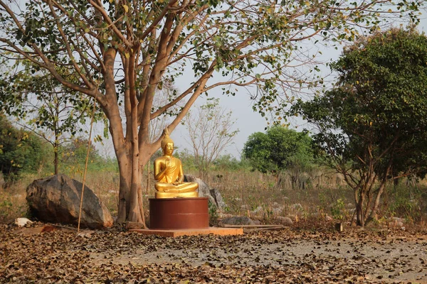Złote Posągi Tajlandii — Zdjęcie stockowe