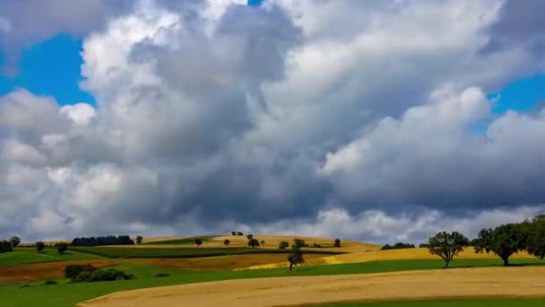 Bellissimo Paesaggio Con Campo Erba Verde Cielo Nuvoloso — Video Stock