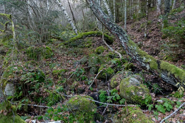 Merens Les Vals Ariege Occitanie フランスの硫酸源 — ストック写真