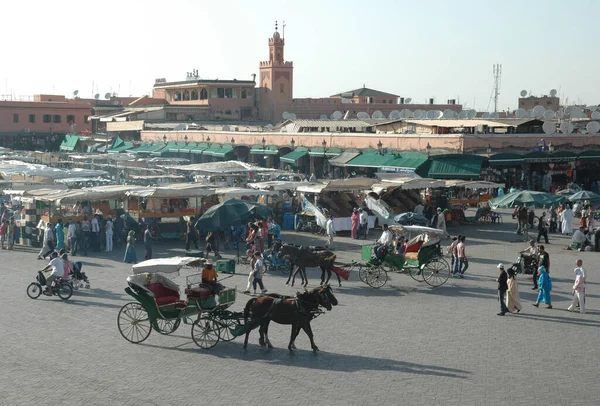 Marrakesh Morocco Lipca 2021 Ludzie Konie Palmami Placu Marrakeszu Maroko — Zdjęcie stockowe