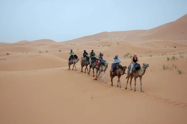 Marakesh Morocco Temmuz 2021 Turuncu Çöl Kumlarında Yürüyen Kameralı Geniş — Stok fotoğraf