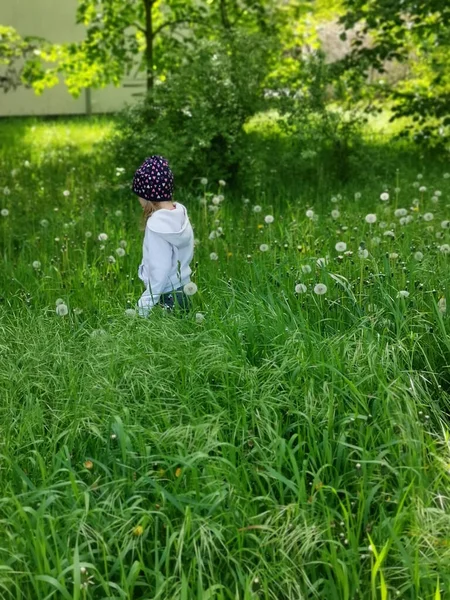 Eine Vertikale Aufnahme Eines Mädchens Auf Einem Feld Mit Löwenzahn — Stockfoto