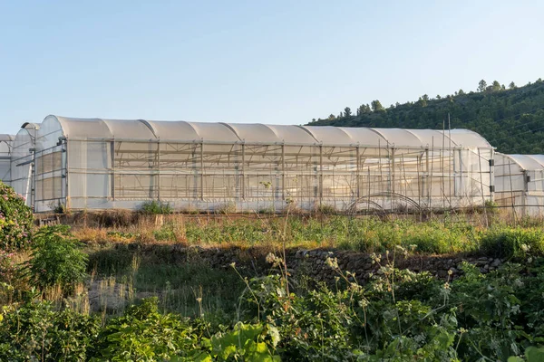 View Greenhouses Green Lands Green Mountains Light Blue Sky Background — Stock Photo, Image