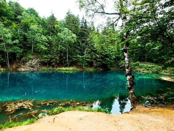 Beautiful View Turquoise Lake Surrounded Green Trees — Stock Photo, Image