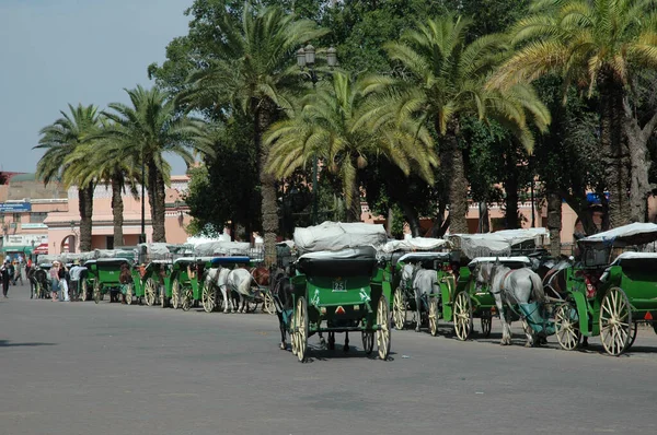 Marrakesh Morocco Maja 2009 Ludzie Konie Palmami Placu Marrakeszu Maroko — Zdjęcie stockowe