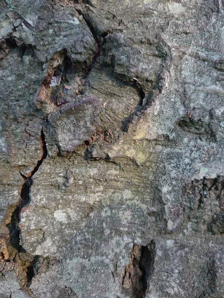 Detailní Záběr Skalnatý Povrch Skály — Stock fotografie