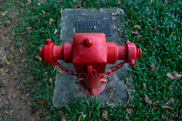 Ein Roter Feuerhydrant Auf Grünem Gras — Stockfoto