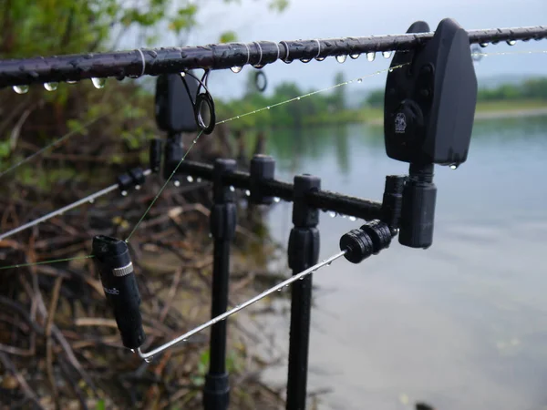 Una Alarma Mordedura Pescado Para Pesca Carpas Orilla Del Lago — Foto de Stock