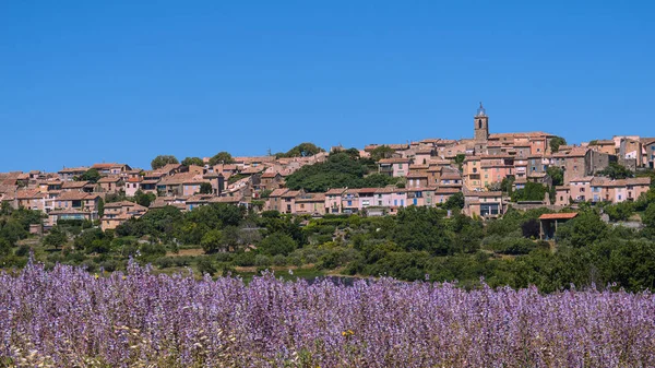Aldeia Puimoisson Belos Campos Lavanda Planalto Valensole Provence França — Fotografia de Stock