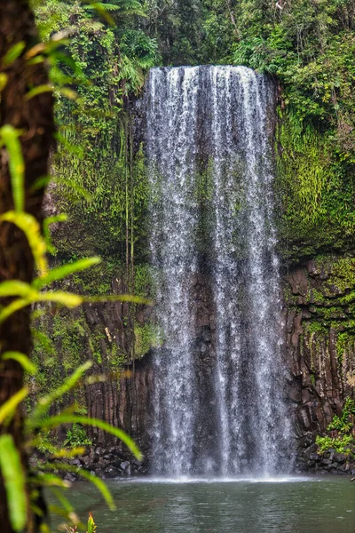 Beautiful View Millaa Millaa Falls Rainforest Queensland Australia — Stock Photo, Image