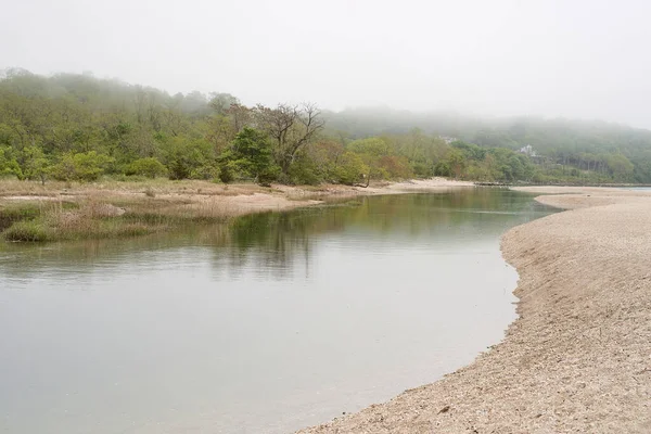 Ein Ufer Umgeben Von Viel Grün Und Ein See Der — Stockfoto