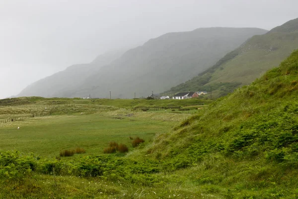 Пейзаж Холмов Покрытых Зеленью Туманом Сельской Местности — стоковое фото