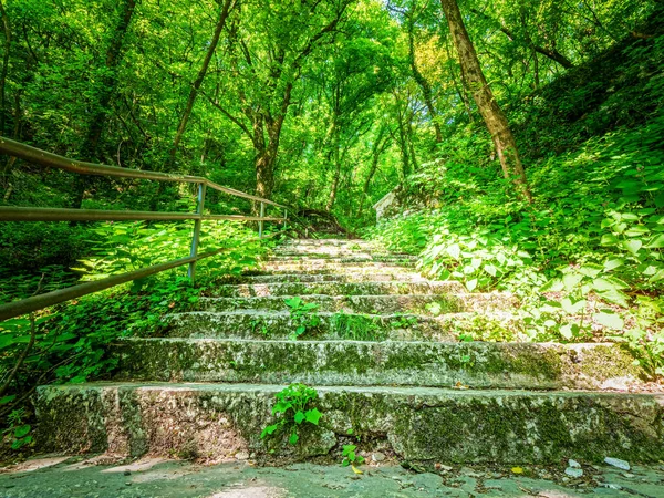 Groene Hel Met Trappen Naar Hemel — Stockfoto