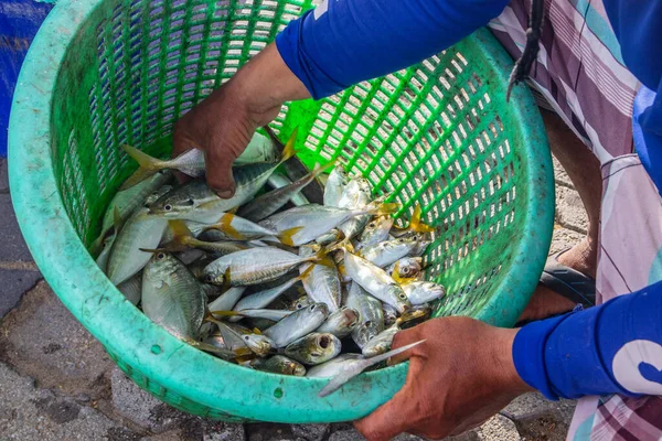 Rybáři Prodávají Čerstvě Ulovené Ryby Přímo Pláži — Stock fotografie