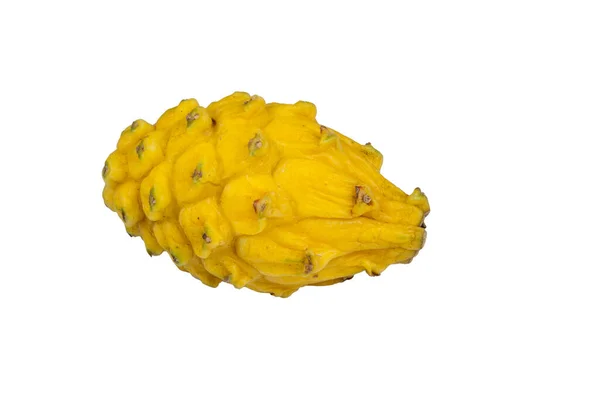 Yellow Pitaya Organic Dragon Fruit Tropical Regions Guatemala — Stock Photo, Image