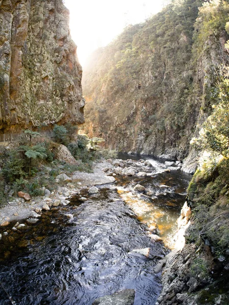 Vista Rio Ohinemuri Karangahake Gorge Nova Zelândia — Fotografia de Stock