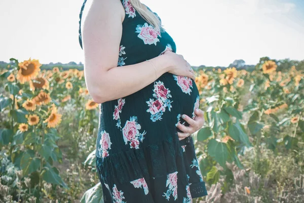 Een Zwangere Vrouw Draagt Bloemenjurk Het Zonnebloemveld — Stockfoto