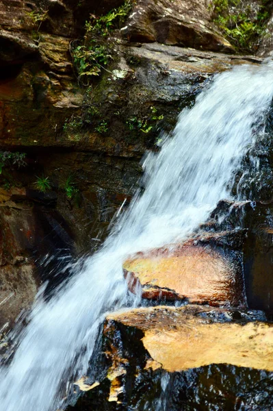 Une Cascade Près Centennial Glen Blackheath Dans Les Blue Mountains — Photo